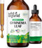 Gymnema Tincture - Sugar-Free Gymnema Sylvestre Supplements - Alcohol-Free Gymnema Drops for Antioxidant Support - Organic Gymnema for Cleanse - V...