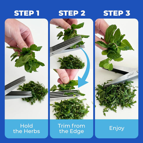 Jenaluca Herb Scissors with 5 Blades and Safety Cover - Cut, Chop & Mince Fresh Herbs & Leafy Greens - Stainless Steel Kitchen Shears with Cleanin...