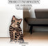 Pavilion Gift Company - Rescue Me Now - Small Brown Tabby Vase, 8-1/2-Inch Tall...