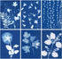 60 Sheets Sun Print Paper Cyanotype Paper Kit, A5 Sun Art Paper With 1 Plastic Tool for Sun Printing, Light Sensitive Solar Photography Paper for ...