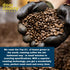 Door County Coffee Irish Cream Flavored Ground Coffee - 10 oz Bag - Medium Roast - 100% Specialty Arabica - 100% Specialty Grade 1 Arabica Coffee...