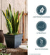 The HC Companies 8 Inch Eclipse Square Planter with Saucer – Indoor Outdoor Plant Pot for Flowers Vegetables Herbs, Peridot Green...
