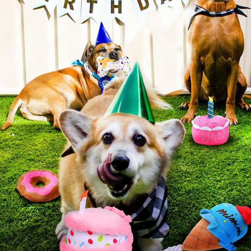 DoreenBow 5 Pack Dog Birthday Toys for Small Dogs Birthday Cake Squeaky Dog Toy Chew Toys Puppy Teething Toys Plush Birthday Box Gift for Dogs...
