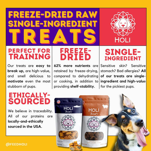 HOLI Freeze Dried Rabbit Treats for Dogs- All Natural Healthy Dog Treats, 100% Made in USA - Single Ingredient - Human Grade - Grain Free - Diabet...