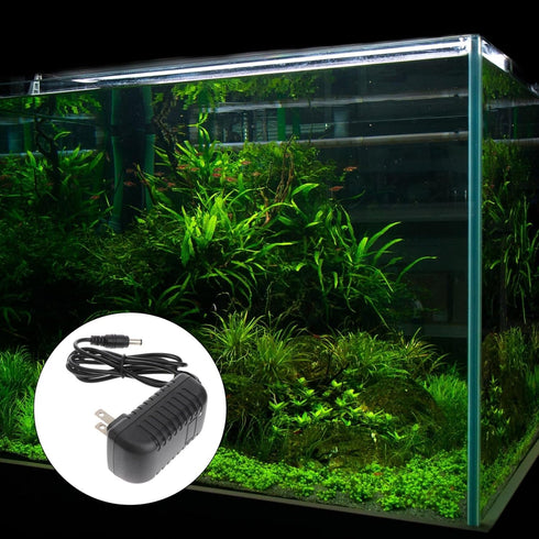 balacoo Power Adapter LED Plug Aquarium Light Adapter LED Adapter Aquarium LED Light Adapter Supply Fish Tank Lights Adapter Aquarium LED Lights A...
