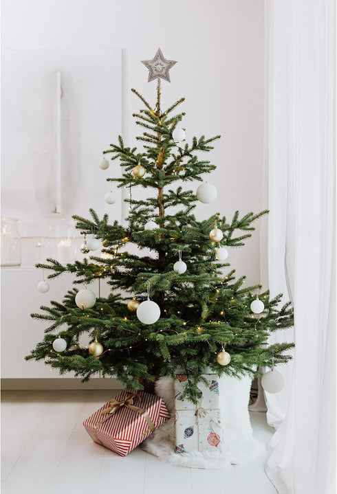 Kurt Adler 13.5-inch Star Treetop with Ivory Pearls and Platinum Glass Glitter...