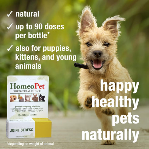 HomeoPet Joint Stress, Joint Support for Dogs and Cats, Liquid Pet Meds to Support Healthy Joint Movement, 15 Milliliters...