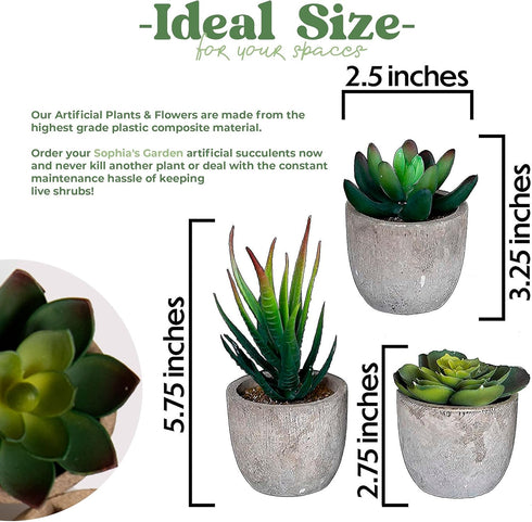 Set of 5 Succulents Fake Plants Bedroom Aesthetic Small Fake Plants Bathroom - Mini Fake Plants Decor for Office Desk Decor - Tiny Realistic Fake ...