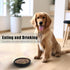 Dog/Cat Bowl for Food and Water,Whisker Fatigue Cat Bowl,Shallow Dog Bowl with Wide Mouth for Convenient Filling,Firm and Sturdy,Easy to Clean,Foo...