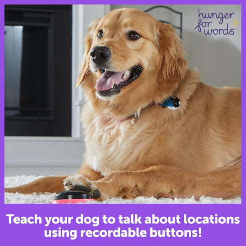 Hunger For Words Talking Pet Next Words Locations - 3 Piece Set of Recordable Speech Buttons for Dogs, Dog Buttons for Communication...