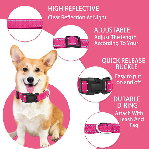 Reflective Dog Collar with Safety Locking Buckle, Adjustable Soft Breathable Nylon Collars for Small, Medium and Large Dogs(Collar+Leash XS Width ...
