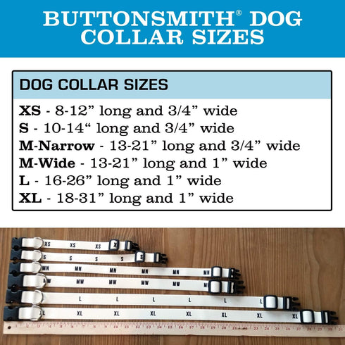 Buttonsmith Rainbow Zebra Dog Collar - Made in The USA - Fadeproof Permanently Bonded Printing, Military Grade Rustproof Buckle, Choice of 6 Sizes...