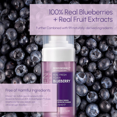DERMALOGY by NEOGENLAB Real Fresh Foam Cleanser, Blueberry 5.6 Fl Oz (160g) - Hydrating Gentle Cleansing Foam with Real Blueberries, Clean Beauty ...