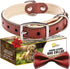 ADITYNA - Heavy-Duty Premium Leather Dog Collar for Small Dogs - Padded with Soft Genuine Leather for a Cozy Feel...