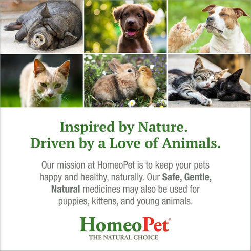 HomeoPet Feline Purr Dental, Dental Care for Cats, 15 Milliliters...