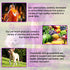 Dog Multivitamin Treats - 15 in 1 Multivitamin Tablets for Dogs with Glucosamine, Cranberry, Milk Thistle, Vitamins Supports Joint & Digestion, Sk...