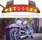 Motorcycle Chopped Rear Fender Edge LED Brake License Plate Tail Light Stop Running Light Turn Signal Lamp Compatible with Harley Sportster XL883N...