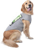 Star Wars for Pets Yoda Dog Tee - Star Wars Dog Shirt for Large Dogs - Size X-Large - Soft, Cute, and Comfortable Dog Clothing and Apparel, Cute D...