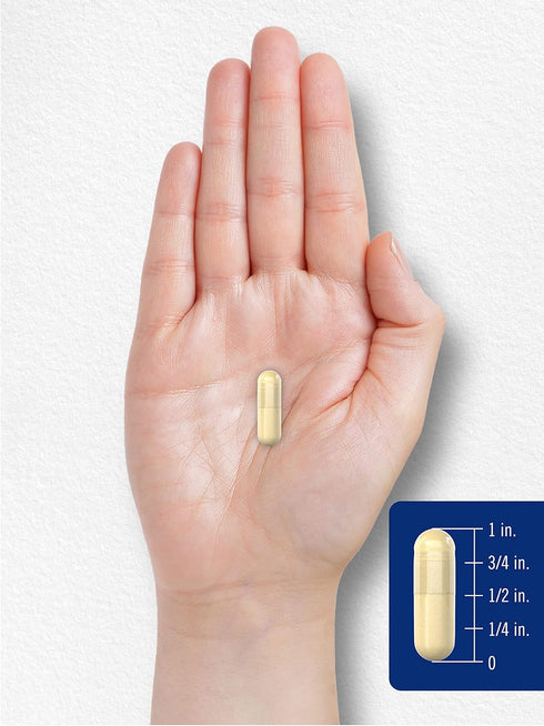 Carlyle Gelatin Capsules | 2160 mg | with Silica Optimizer | 250 Count | Non-GMO, and Gluten Free Supplement...
