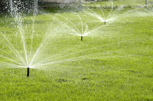 Rain Bird 22SAFPROPR Pressure Regulating (PRS) High-Efficiency Pro Rotary Sprinkler, 360° Full Pattern, 17' - 24' Spray Distance, 4" Pop-up Height...