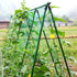 Adjustable Garden Stakes Connectors, Plastic Plant trellis Clips for 0.43 inch Diameter Rods Connecting Joints for Tomato Cage Cucumber Teepee Cli...
