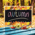 Whaline 66FT Fall Bulletin Board Borders Autumn Leaves Pumpkin Squirrel Hedgehog Sunflower Rain Boots Mushroom Border Trim Thanksgiving Bulletin B...