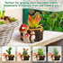 Owl Succulent Planters Flower Plant Pots for Plants with Drainage Hole?Planter Pots for Indoor Plants/Succulent/Cactus,Indoor Planter for Home Off...