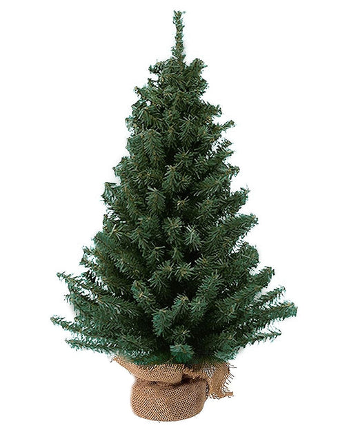 Kurt Adler 12 Miniature Pine Tree...