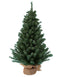 Kurt Adler 12 Miniature Pine Tree...