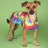 Handmade Dog Poncho from Tie Dye Blanket - Dog Clothes - Coat - Costume - Sweater - Vest (Tie Dye, XXS)...