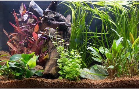 Aquarium Background Tropical Planted Freshwater Terrarium Background Aquatic Plants Rocks with Moss Roots Tropical Style Aquarium Backdrop Fish Ta...