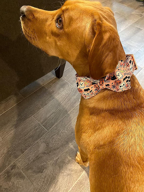 Elegant little tail Dog Collar with Bow - Fall Dog Collar Halloween Pumpkin Bow Girl Boy Pet Collar Soft Dog Bowtie Collars for Large Dogs...