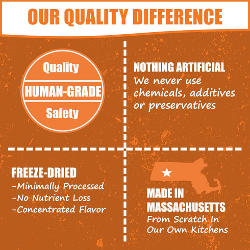 Whole Life Pet Human Grade Probiotic Dog Treats - Pumpkin & Yogurt – Easy Digestion, Firmer Stool, Sensitive Stomachs - Made in The USA...