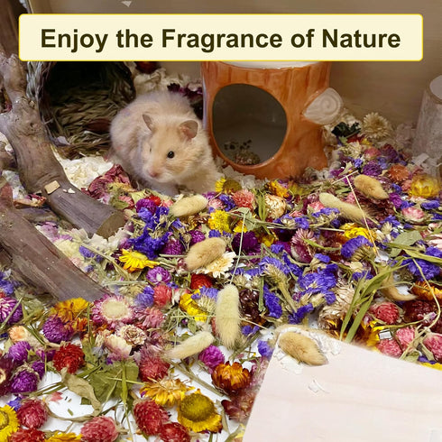 200G Hamster Bedding?Natural Flowers & Herbs Odor Control Dwarf Hamster Bedding Gerbil Bedding Robo Hamster Bedding Katy Hamster Bedding Hamster H...