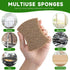 10 Pack Dish Sponges Kitchen?No-Scratch Eco-Friendly Dish Sponge, Natural Kitchen Sponges Pack for Washing & Cleaning, Quick-Drying, Odor Free...