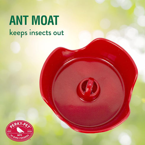 Perky-Pet 203CPBR Pinchwaist Hummingbird Feeder, Red Glass...
