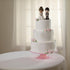 Precious Moments Perfect Couple Bride, Brunette Hair With Medium Skin Tone Bisque Porcelain Wedding Figurine & Cake Topper, 172065...