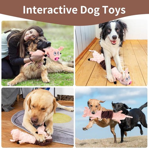 Squeaky Dog Toys for Dogs,Plush Dog Toy,Dog Tug of War Toy,Interactive Dog Toy for Small/Medium/Large Breed?pig?...