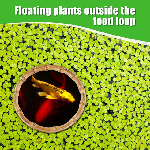 2pcs Aquarium Feeding Rings, Wooden Fish Feeding Rings Fish Tanks Plant Corral Floating Plant Feeding Rings for Keeping Floating Plants in Place F...