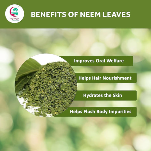 Neem Leaf 4 oz | 100% Natural Detox Neem Tea | Neem Leaves Cut and Sifted | Azadirachta Indica Leaf | Margosa Leaves | Non-GMO, Ethically Sourced ...