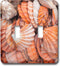 3dRose lsp_206124_2 Key West, Seashells Double Toggle Switch...