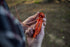 Stansport 5-in-1 Plastic Survival Whistle (622)...