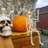 1 Pack Halloween Skeleton Decorations, 15.7" Halloween Full Body Mini Skeleton with Movable Posable Bones,Spooky Skeleton for Halloween Party Deco...