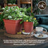 The HC Companies 6 Inch Eclipse Round Planter with Saucer - Indoor Outdoor Plant Pot for Flowers, Vegetables, and Herbs, Teal...