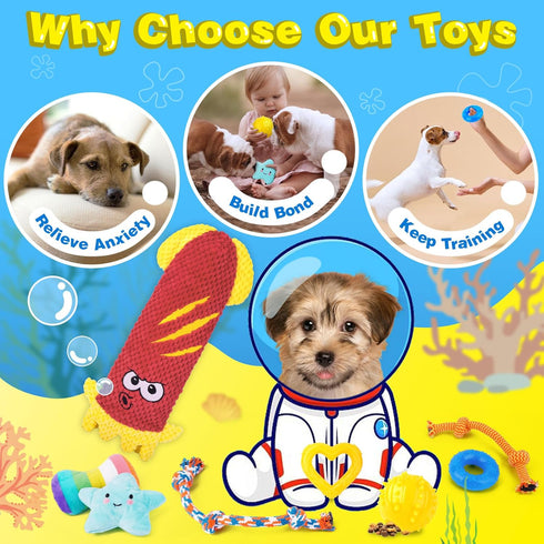 Puppy Toys for Teething, 9 Pack Interactive Dog Toys for Small Dogs, Puppy Chew Toys with Rope Toys, Treat Ball and Cute Squeaky Toys, Hold a Bott...