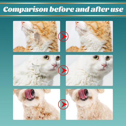 Pet Rinse Free Grooming Gloves, 10Pcs Pet Wipes for Dogs & Cats Wash Free Gloves, Cleansing Grooming with Plant Extract No Rinse Thick Extra Puppy...