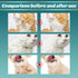 Pet Rinse Free Grooming Gloves, 10Pcs Pet Wipes for Dogs & Cats Wash Free Gloves, Cleansing Grooming with Plant Extract No Rinse Thick Extra Puppy...