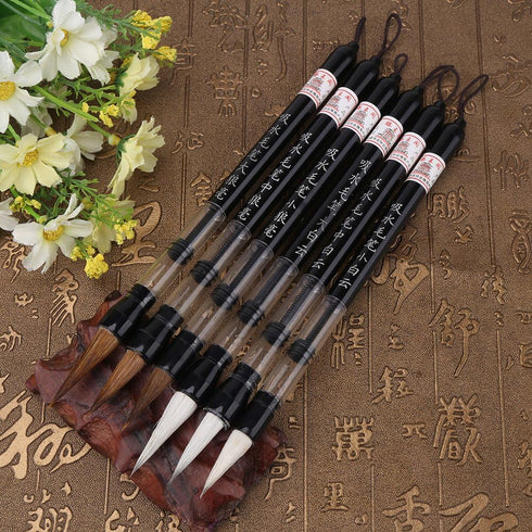 6 Pcs/Set Water Brush Pen, Piston Water Color Brush Chinese Japanese Calligraphy Pen for Beginner Painting Reusable Brush Drawing Pen Art Supplies...