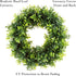 11.5-Inch Opal Basil Wreath - UV Resistant Artificial Summer, Fall, Winter, or Spring Wreath - Indoor/Outdoor Wreaths for Front Door by Pure Garde...