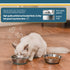 PEGGY11 Lightweight Stainless Steel Cat Bowls - 1.8 Cup, Single Pack...